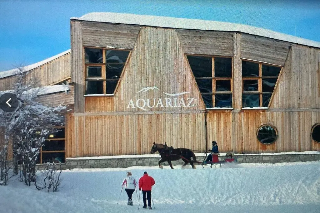 Apartment Appartement Ambiance Chalet Avoriaz France